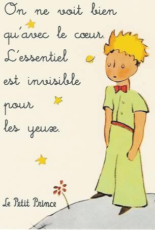 Le Petit Prince: La Meilleure Vente de.