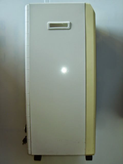 右側側面全体像