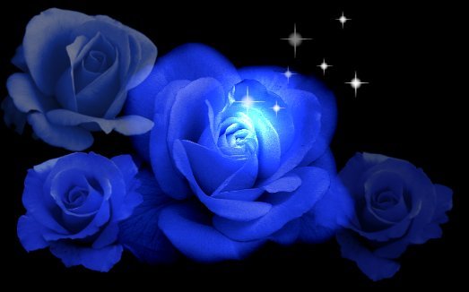 FrenchBlue