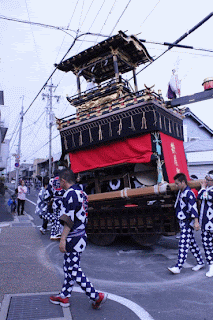 ボーダーコリー小結さん元気いっぱい!!-♪わんこ♪
