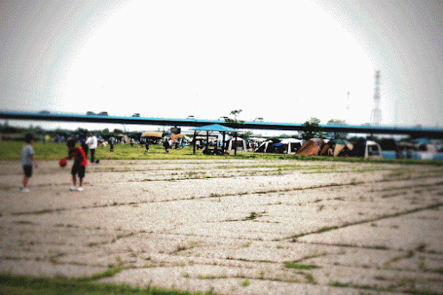 ボーダーコリー小結さん元気いっぱい!!-♪わんこ♪