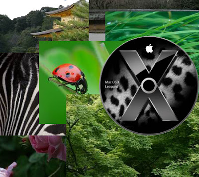 Top-Produkte bei Amazon