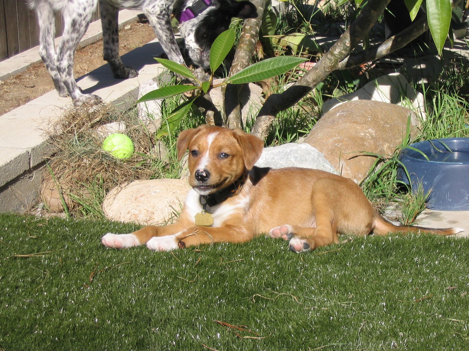 Egnater Amplification: What Musicians Are.