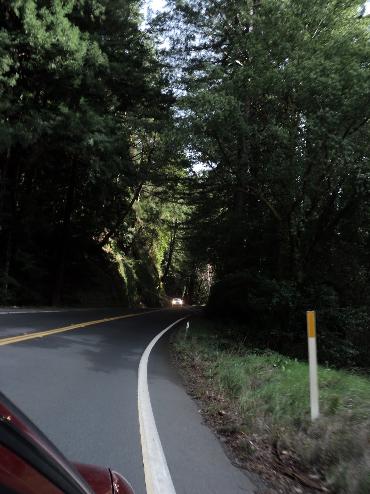 The Source for Youth Ministry.