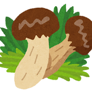 大きいのがお好き アラフォーゲイの代理出産日記