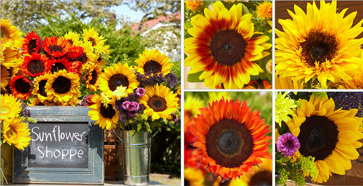 Sprouts Farmers Market - Home.