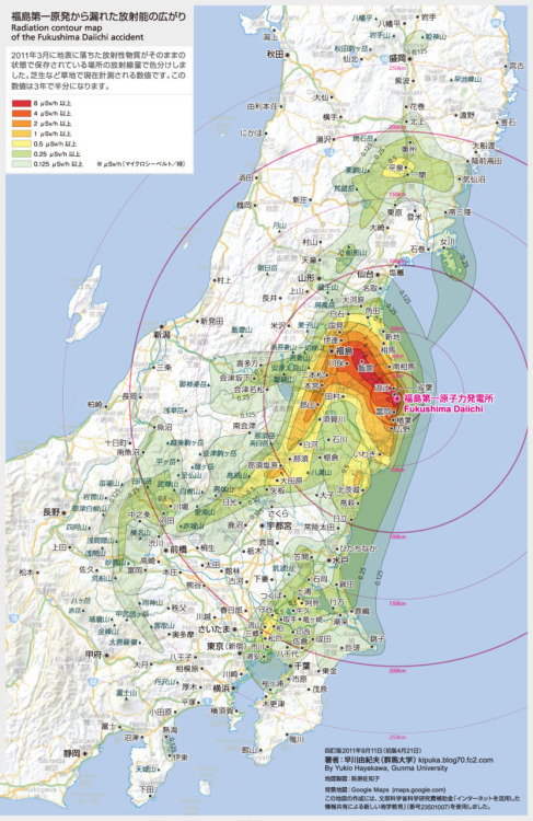 放射能汚染地図（四訂版）。
