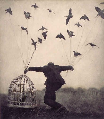 Flying Lessons - Learn how to fly |.