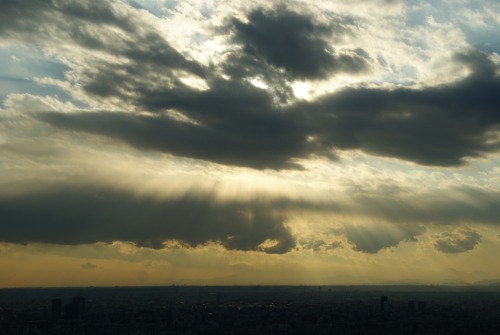 クリックすると新しいウィンドウで開きます