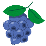 ブルーベリーのイラスト