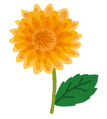 黄色いダリアのイラスト(花)