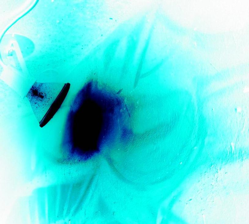 Convicted Ohio killer: I'm too obese to.