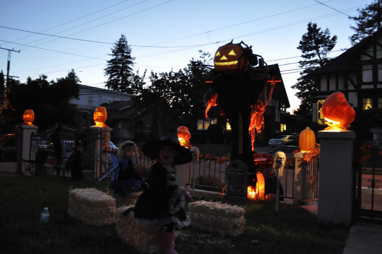 Growing Pumpkins - Pumpkins and More.