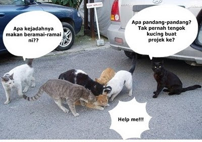 CERITA SEBENAR KES PEMANDU ROGOL JURURAWAT DALAM .