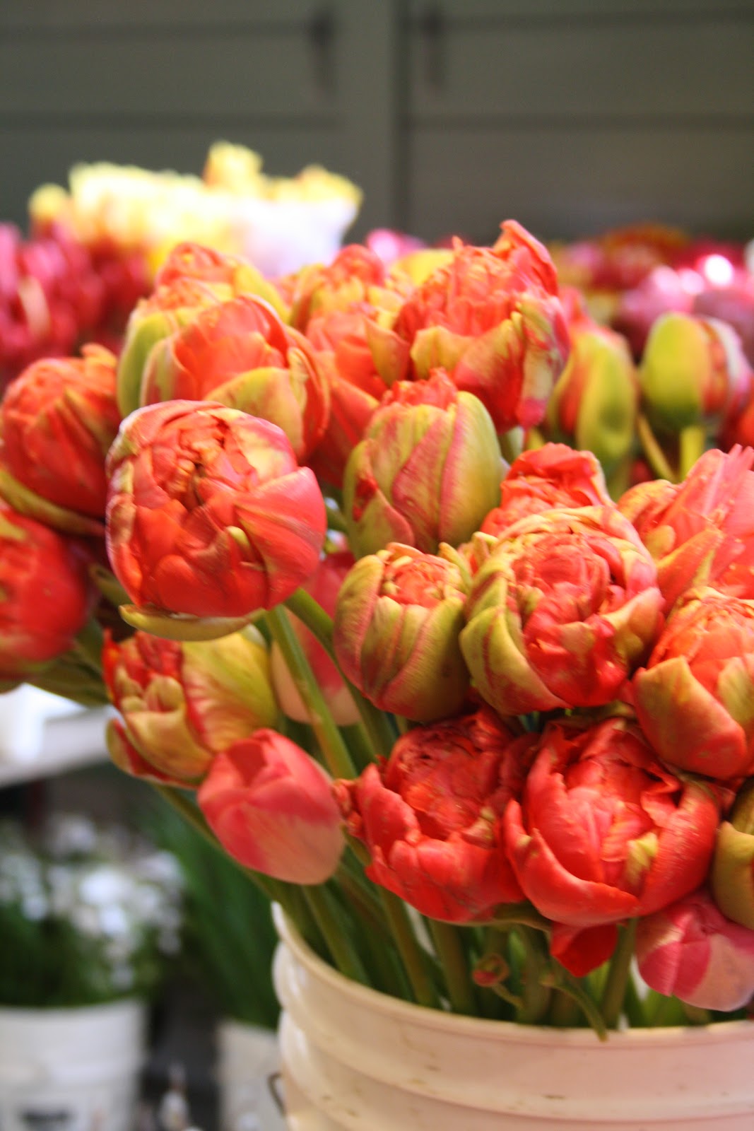 Kill Bill Vol. 1 Final Fight, NO.