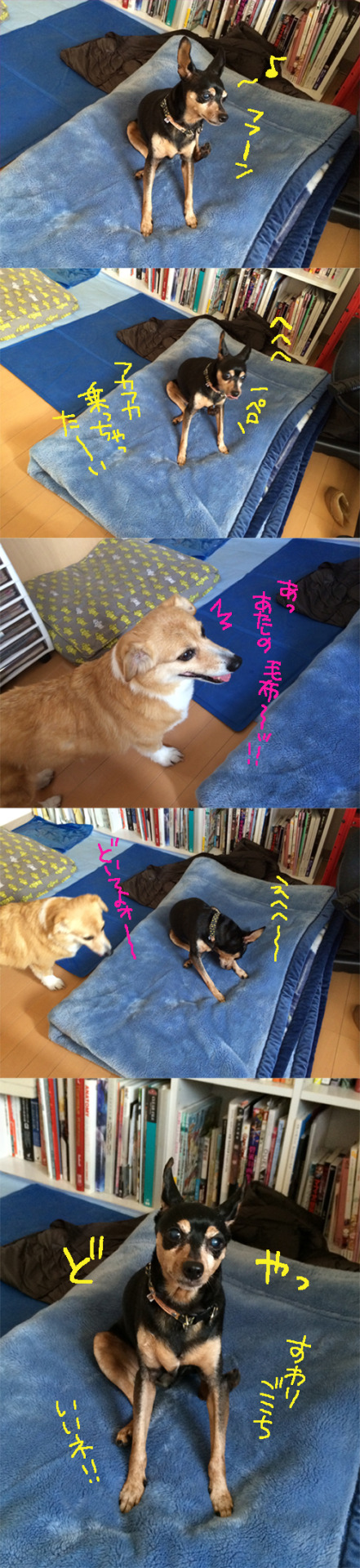 一連の流れ（様式美）

やっぱり来たばっかりはいろいろ起こるね！写真が忙しいです。
でも仕事もやばいのでそんな場合でもない