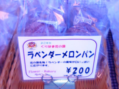 201008261632002.jpg