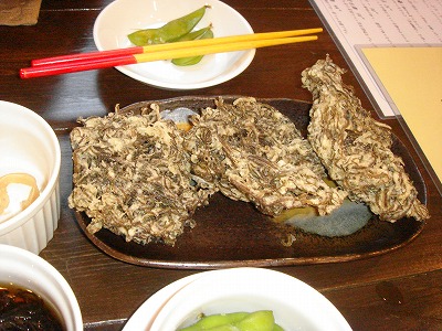 DSC01659.jpg