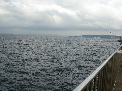 DSC03450.jpg