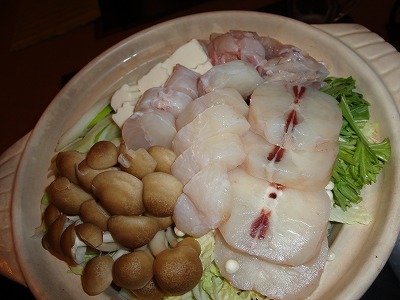 DSC05930.jpg