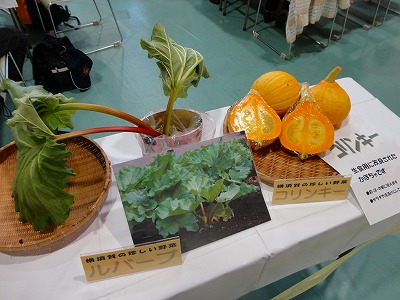 DSC08618.jpg
