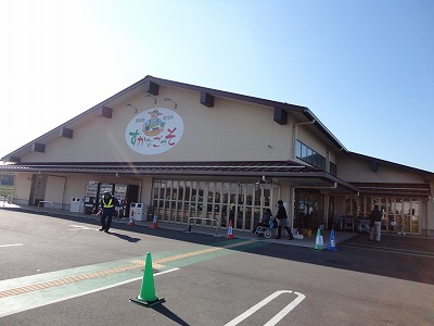 DSC04704.jpg