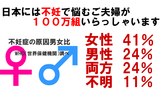 オーガニックマカの驚くべき力 不妊 生理不順 冷え性