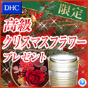 dhcクリスマス特集