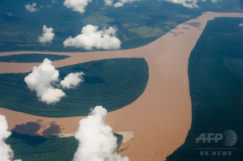 アマゾン熱帯雨林に高さ300メートル観測塔、気候変動を監視