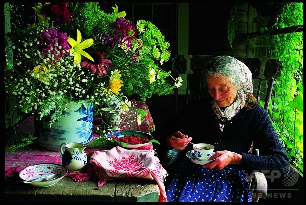 ターシャテューダーの画像 に対する画像結果