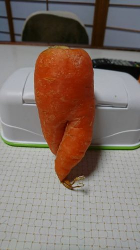 2314