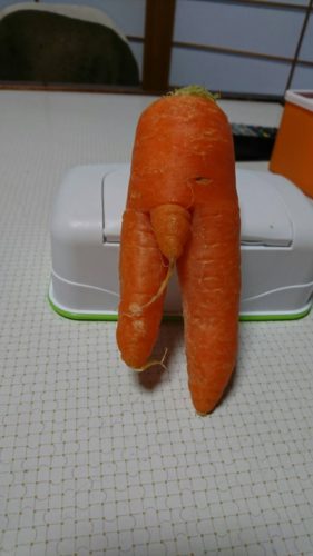 2315