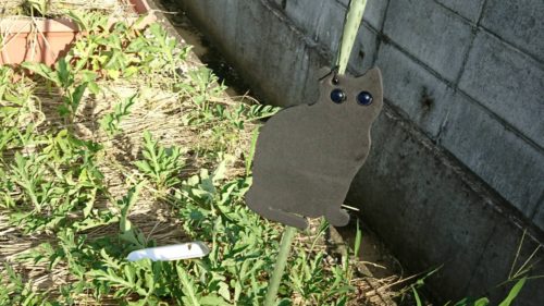 5794