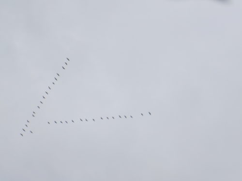 dscf6696