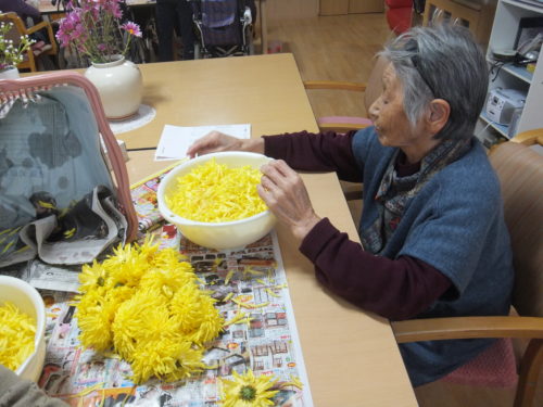 dscf6897
