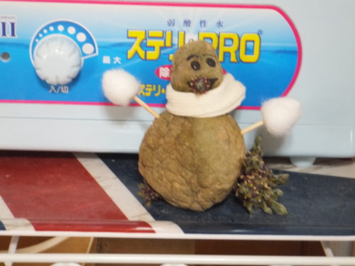 dscf7958