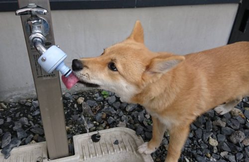 17792
