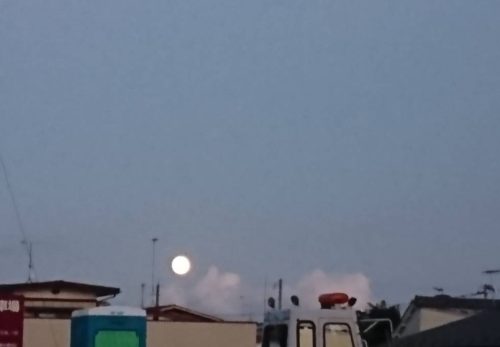 26204