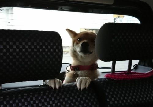 26437
