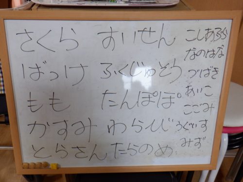 dscf8859c