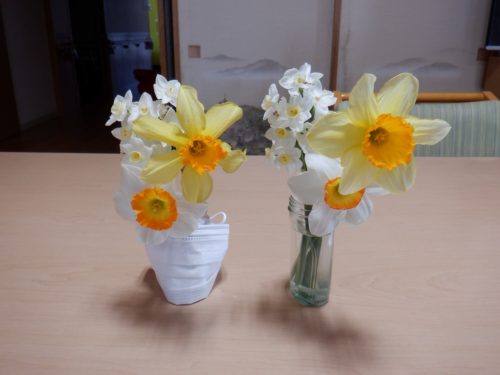 dscf9951c