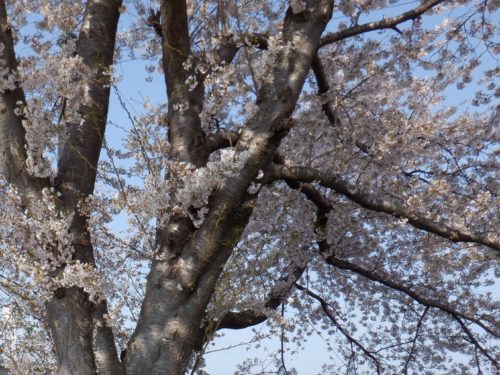 dscf9963c