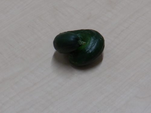 dscf2492c