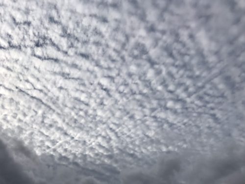 s__5644294