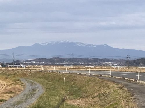 s__6905865