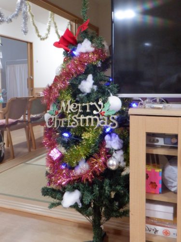 dscf4073c