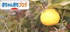 にほんブログ村 赤ちゃん待ちブログへ