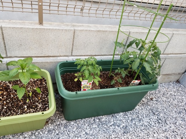 20180520_161715.jpg