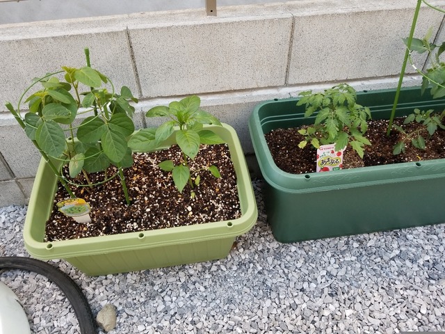 20180520_161716.jpg