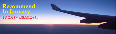 2015年1月のオススメ amber design北欧中古家具ンテージ雑貨通販アンバーデザイン